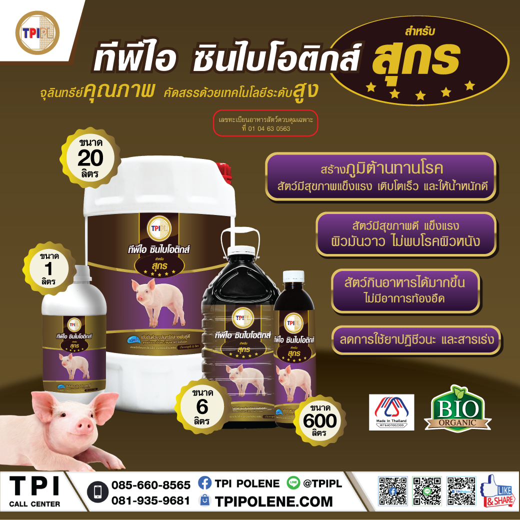 สินค้า 2