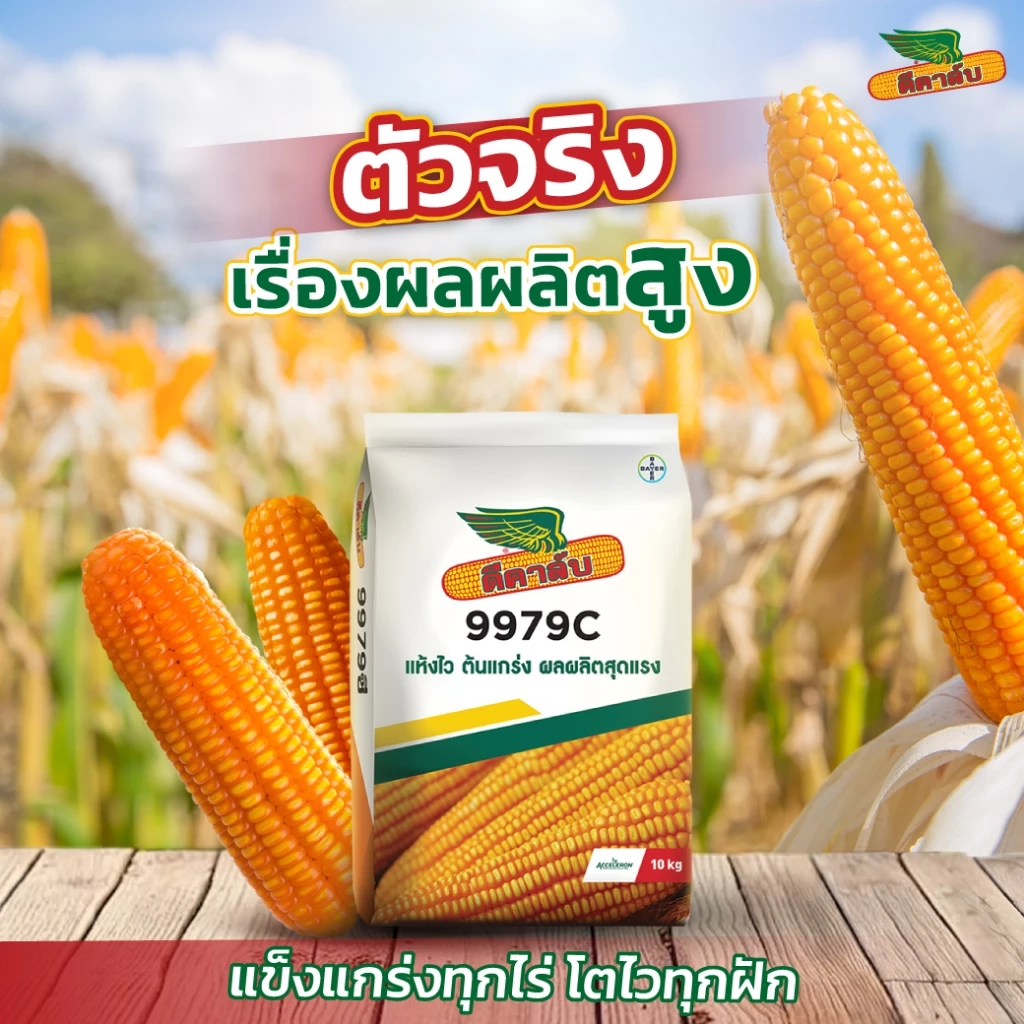 สินค้า 2
