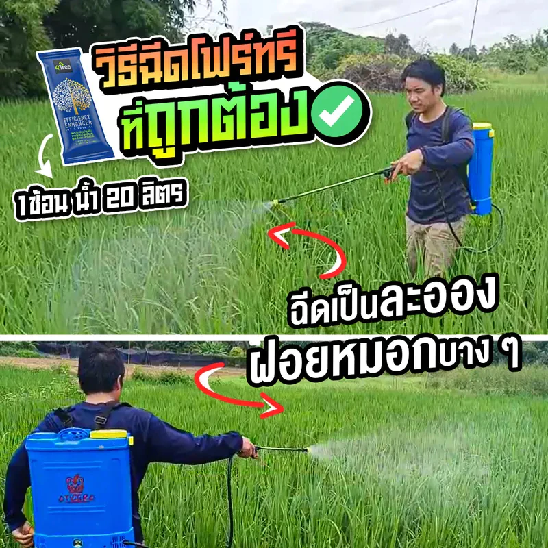 สินค้า 4