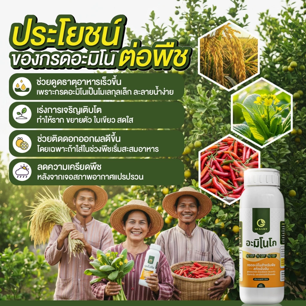 สินค้า 5