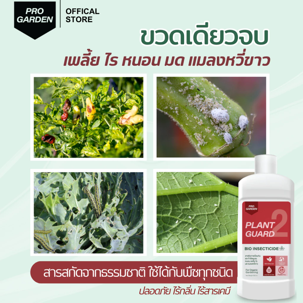 สินค้า 4
