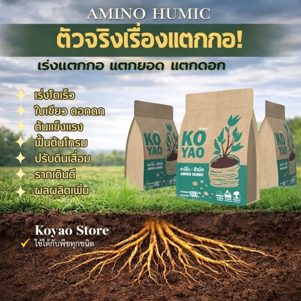 สินค้า 4