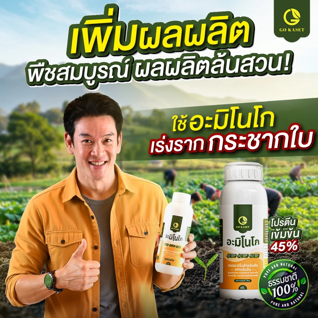 สินค้า 2
