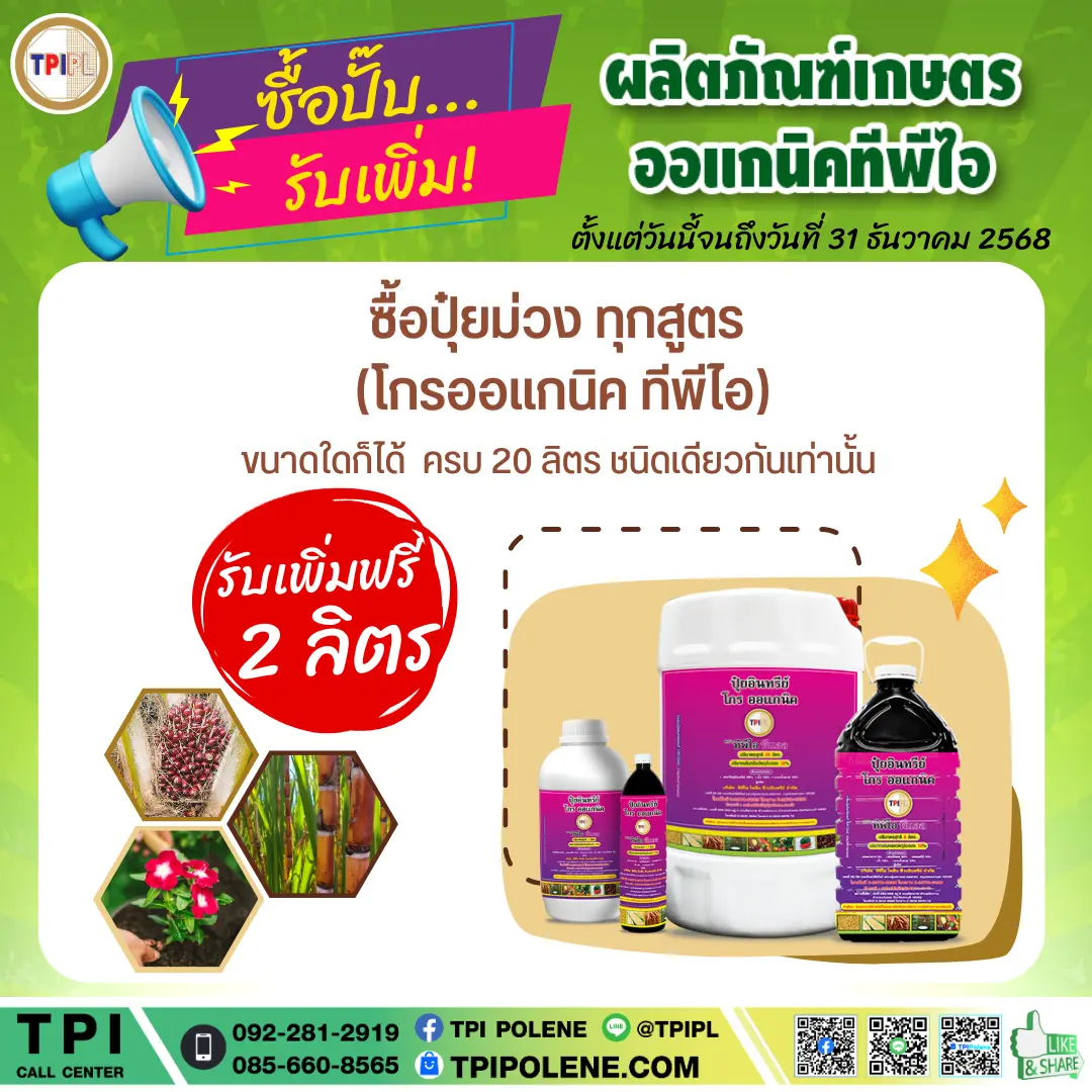 สินค้า 4