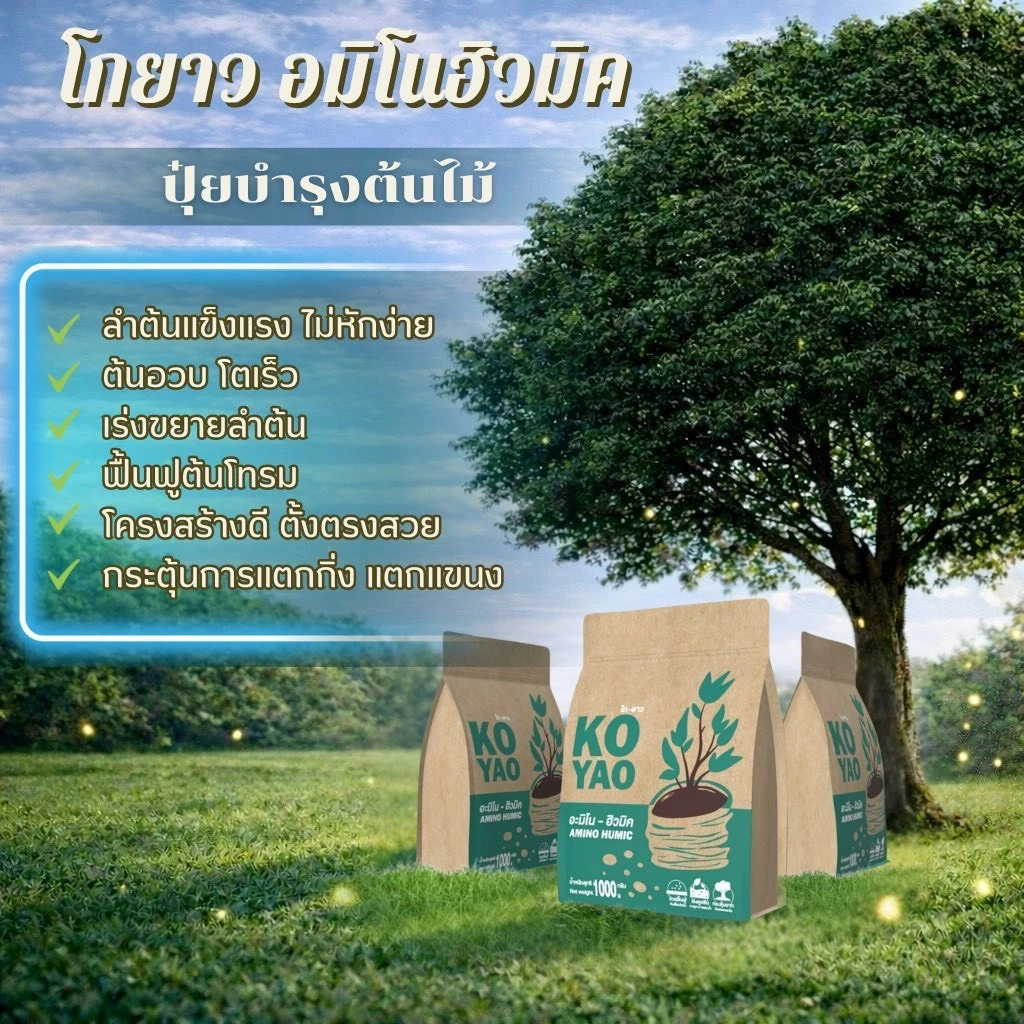สินค้า 5