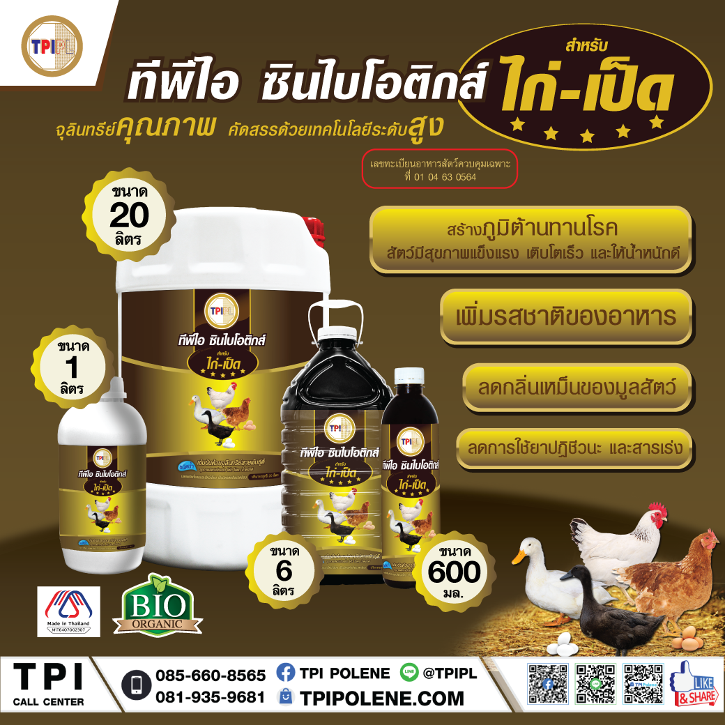 สินค้า 2