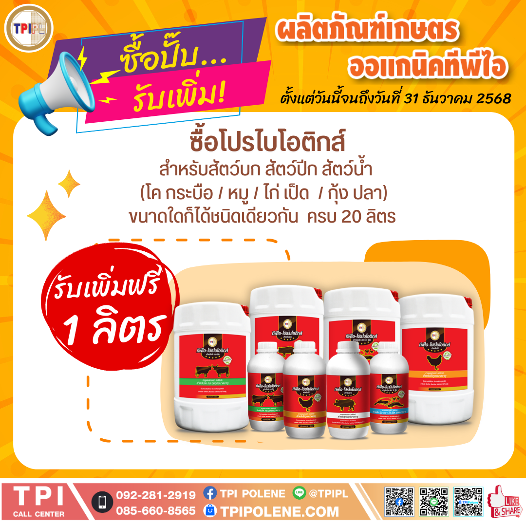 สินค้า 3