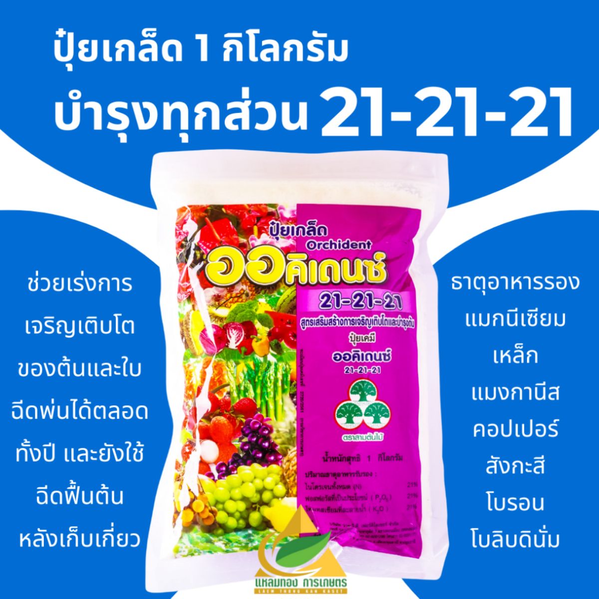 สินค้า 3