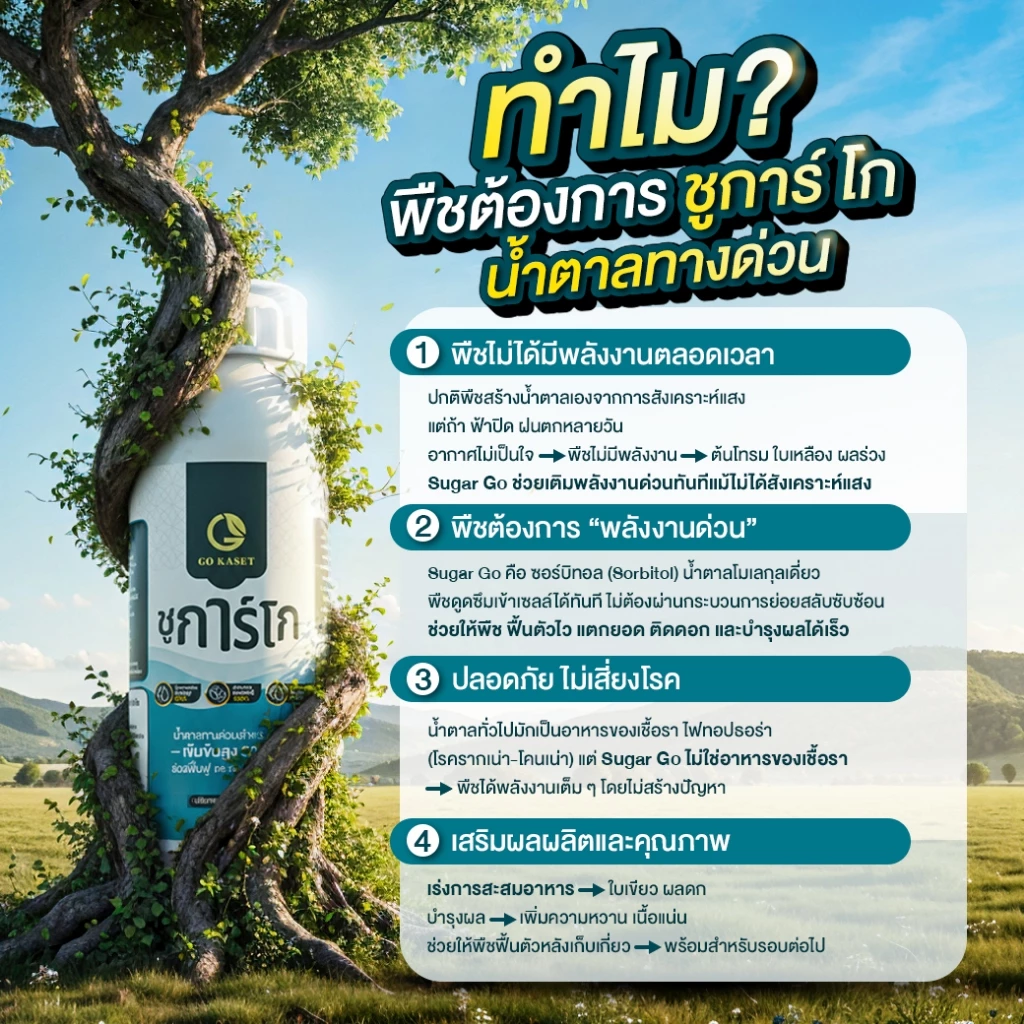 สินค้า 5
