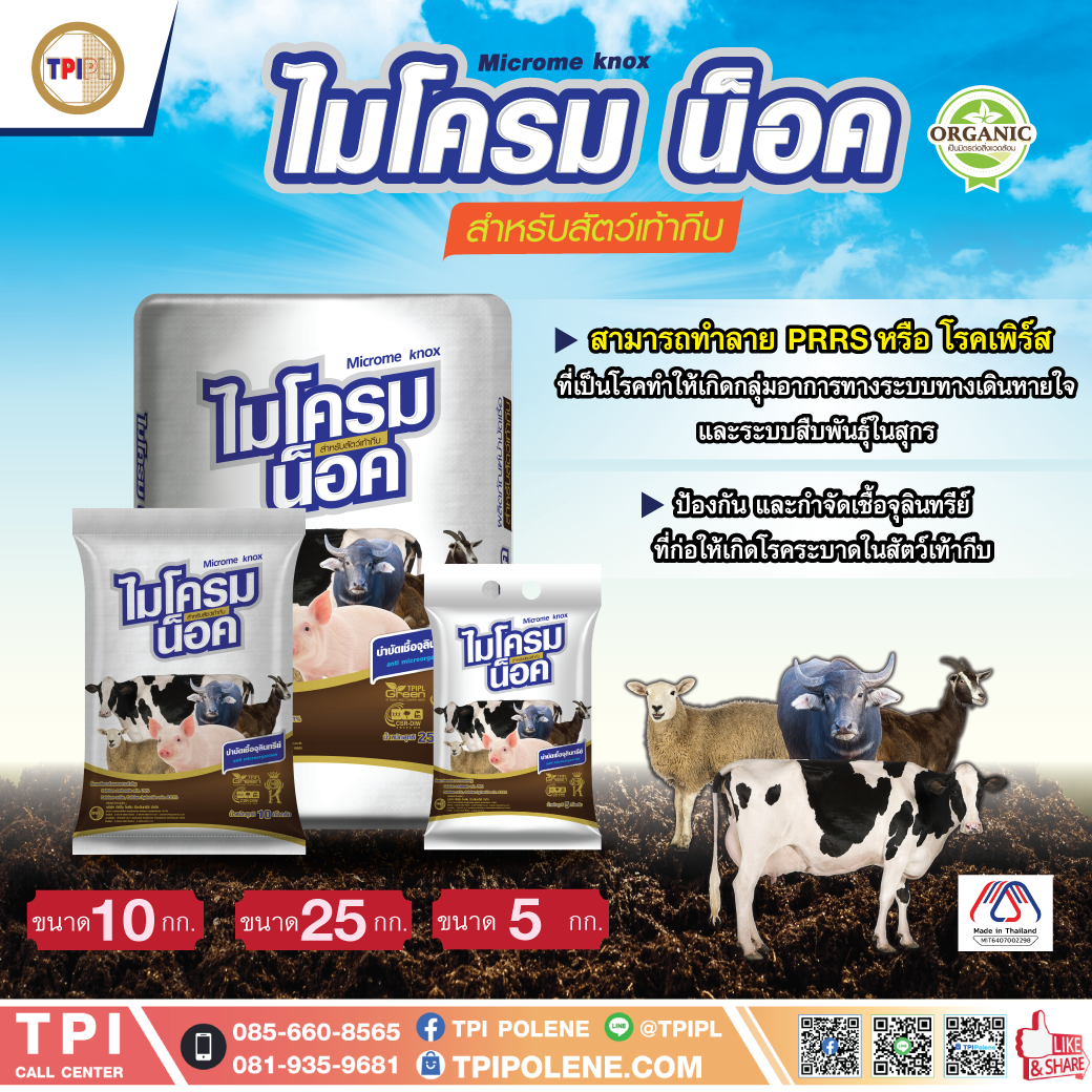 สินค้า 2