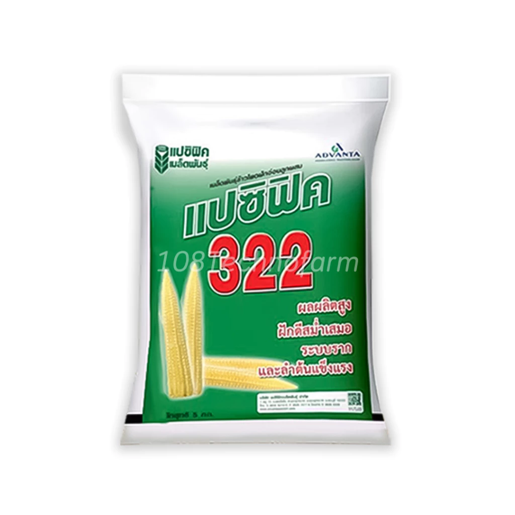 สินค้า 2