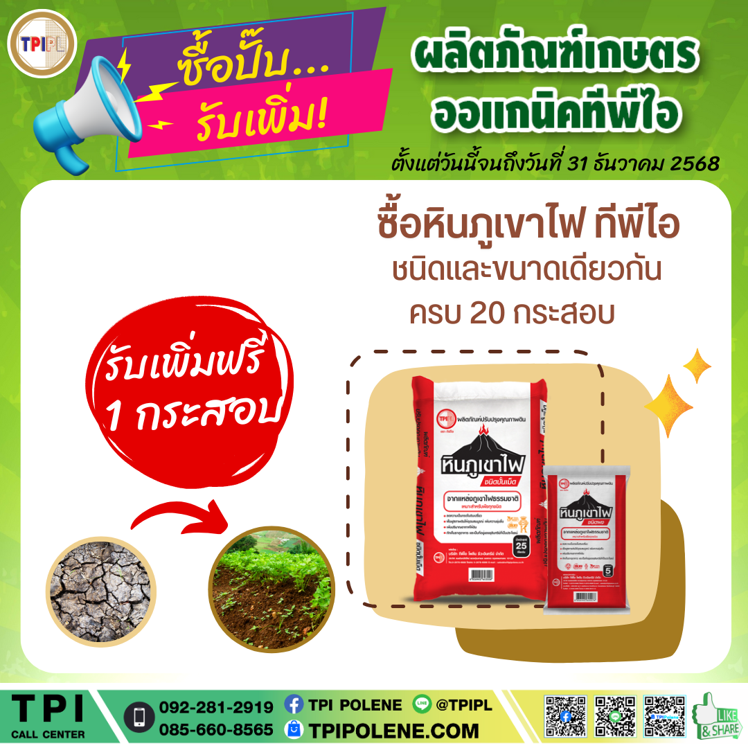 สินค้า 3