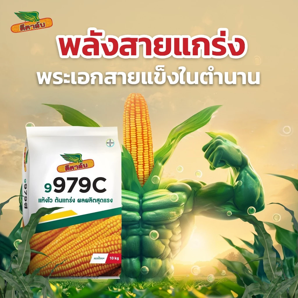 สินค้า 3
