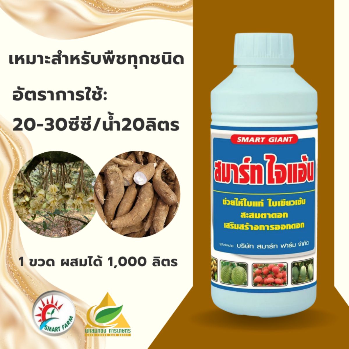 สินค้า 3