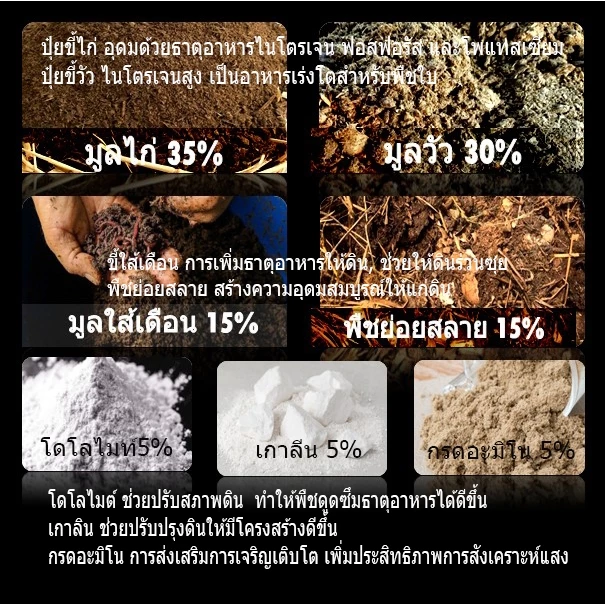 สินค้า 2