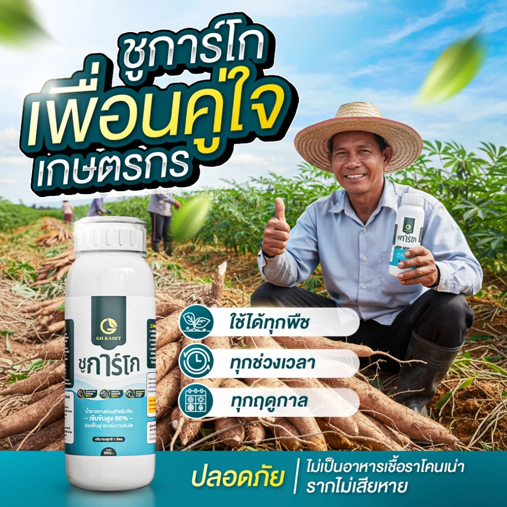 สินค้า 4