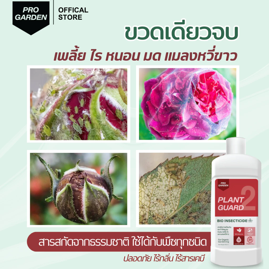 สินค้า 3