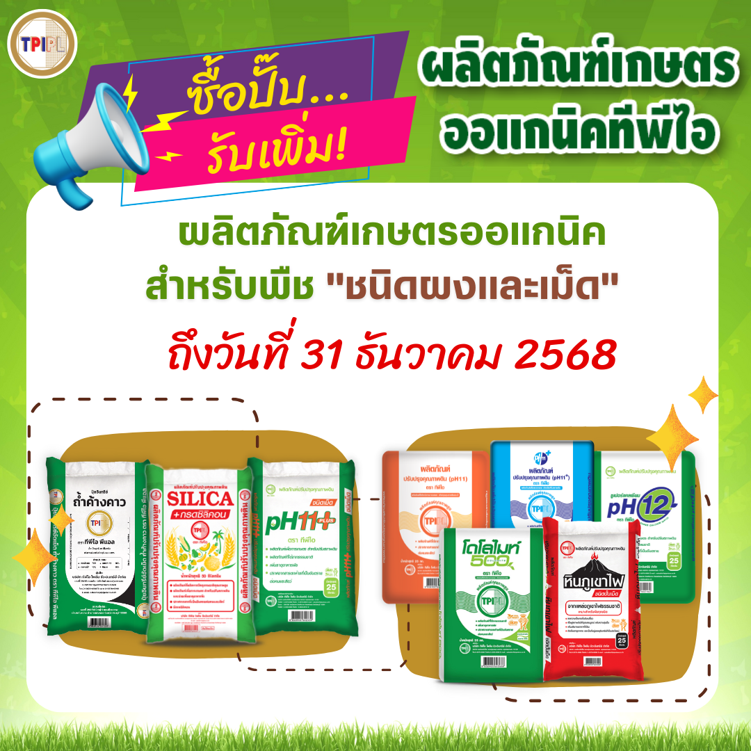 สินค้า 3