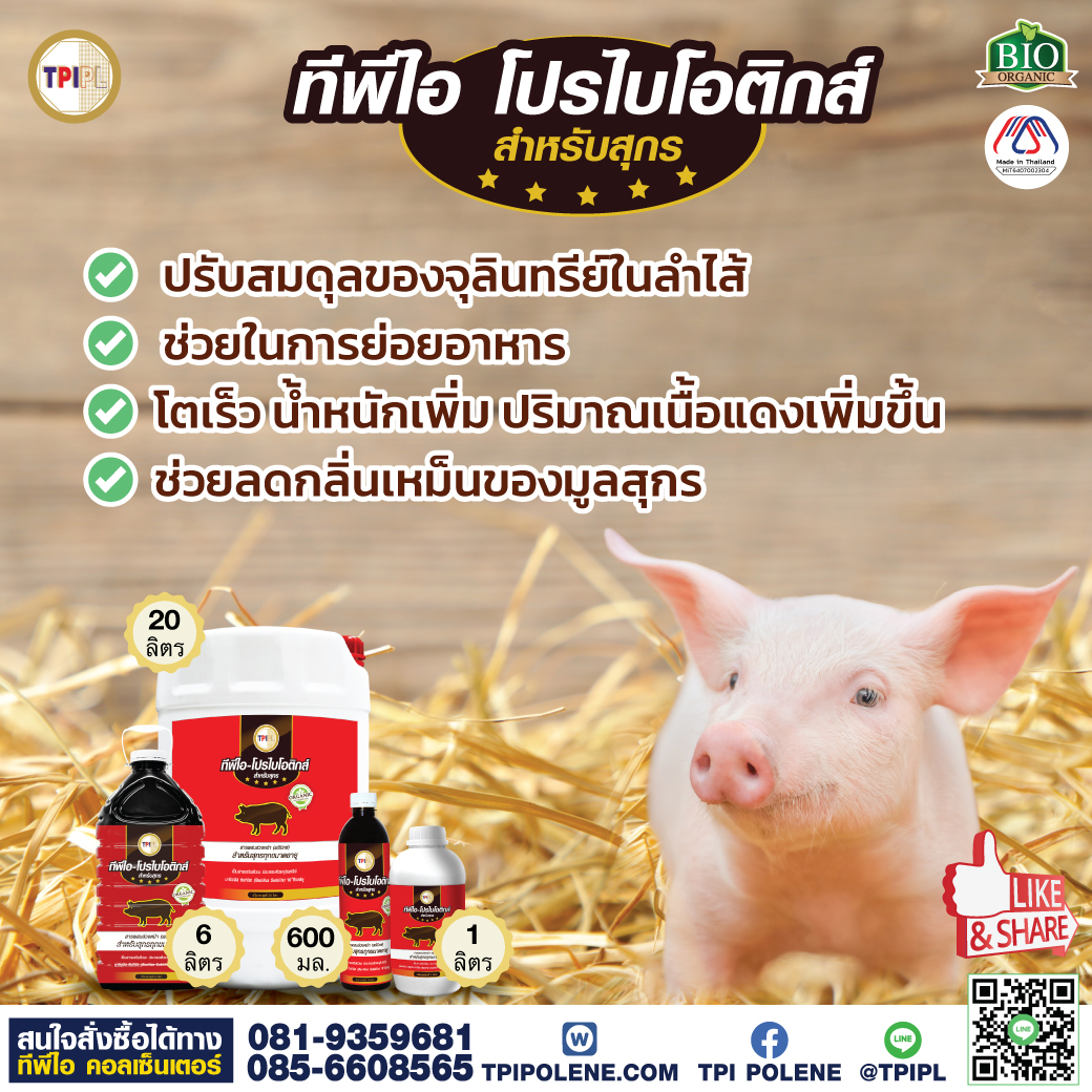 สินค้า 2