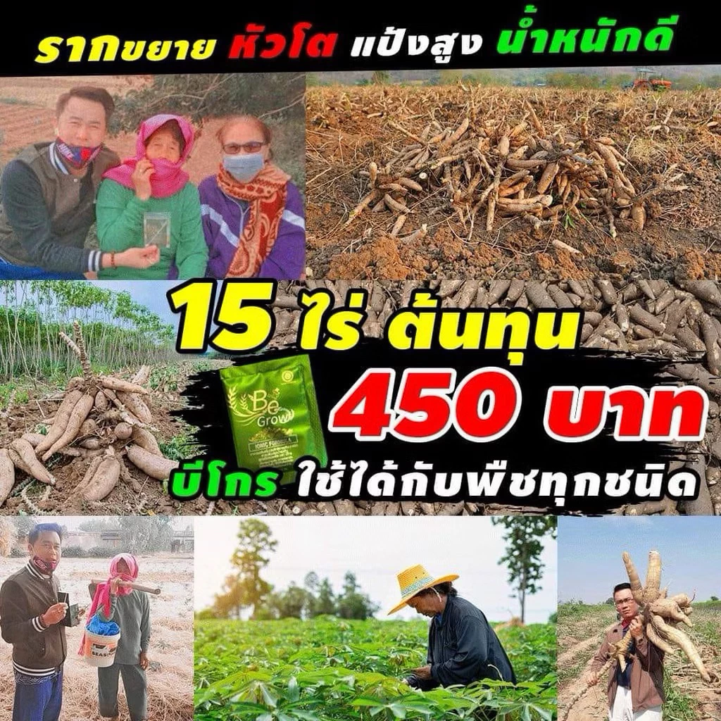 สินค้า 5