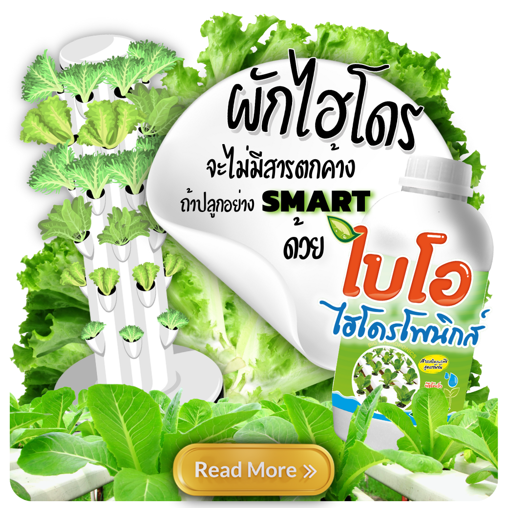สินค้า 3