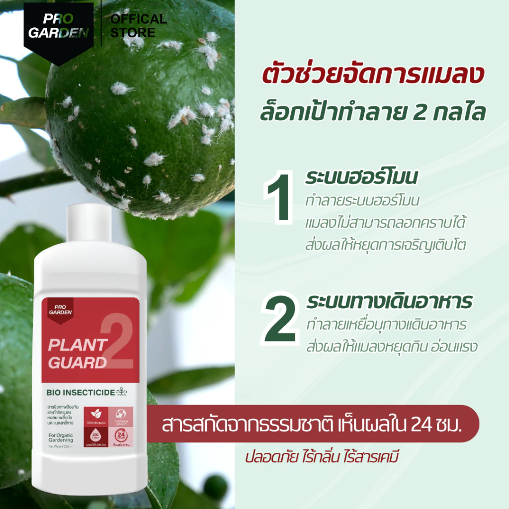 สินค้า 2