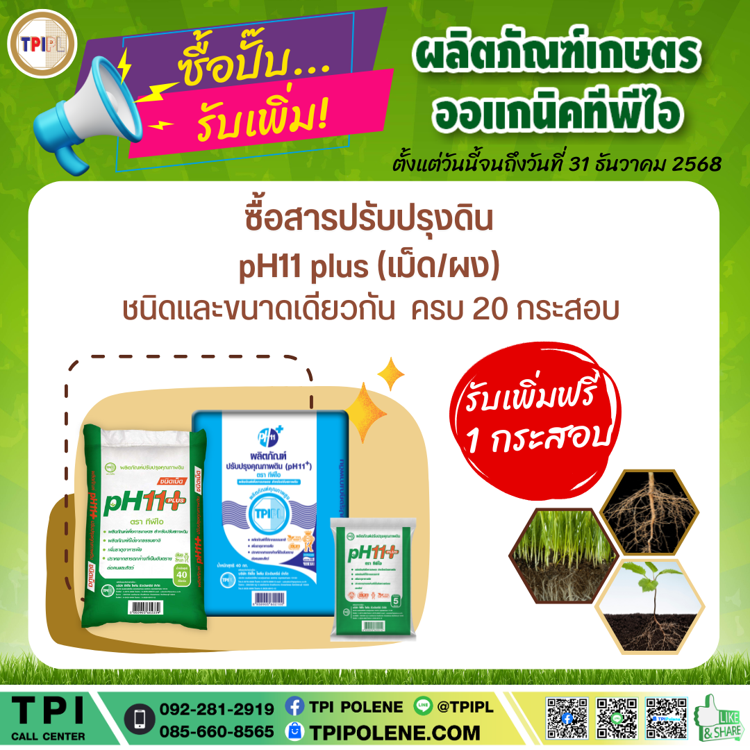 สินค้า 3