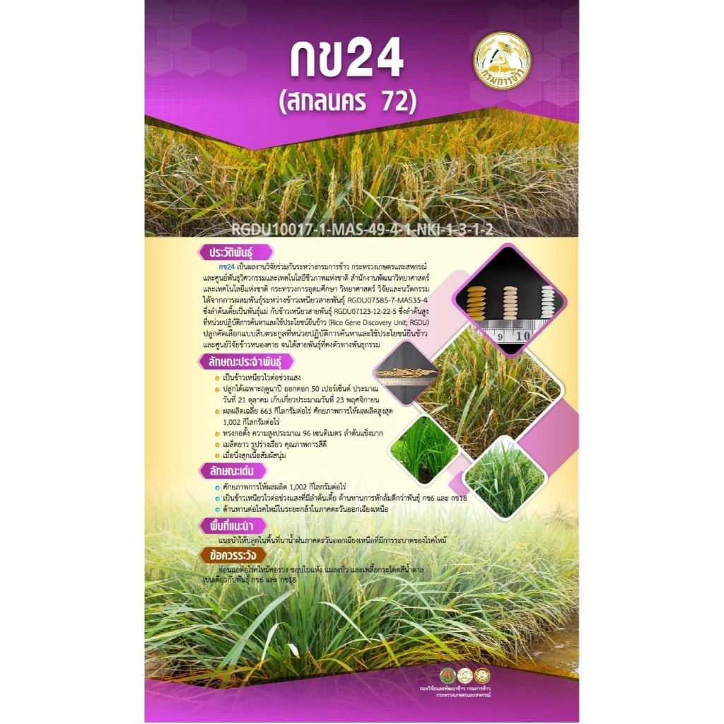 สินค้า 2