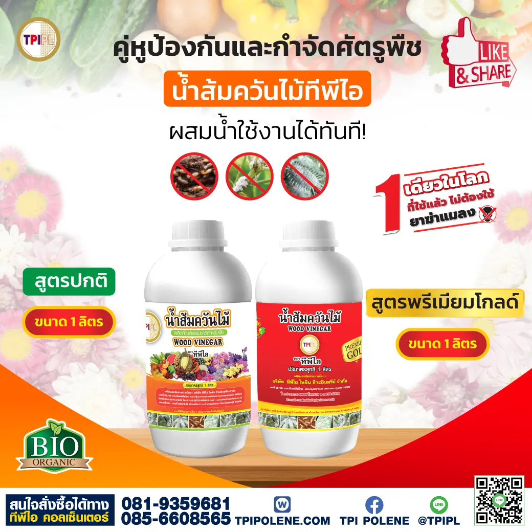 สินค้า 4