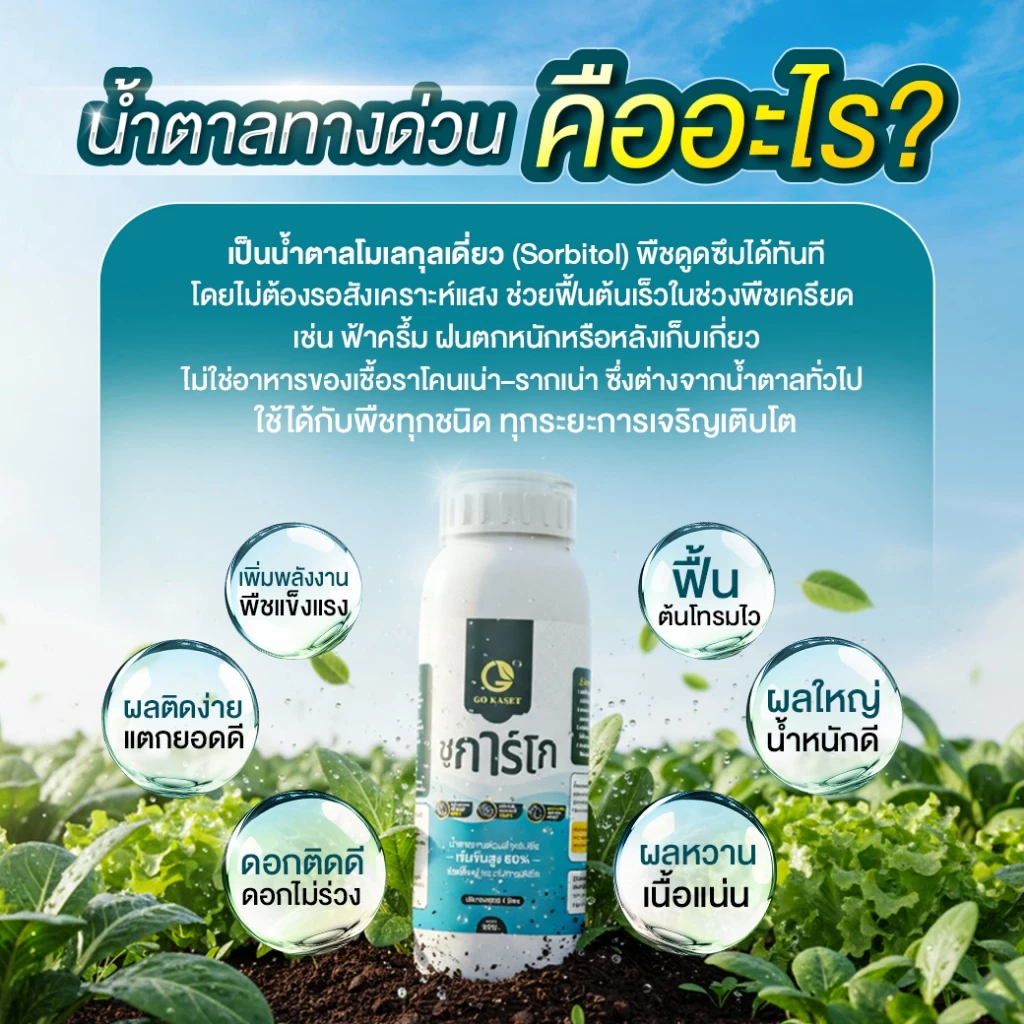 สินค้า 2