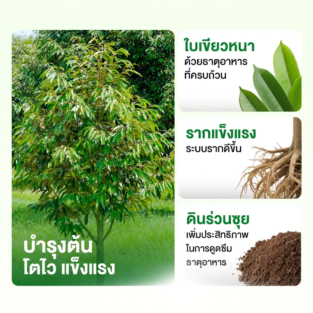 สินค้า 2