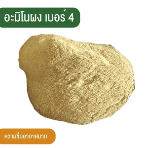 สินค้า 4