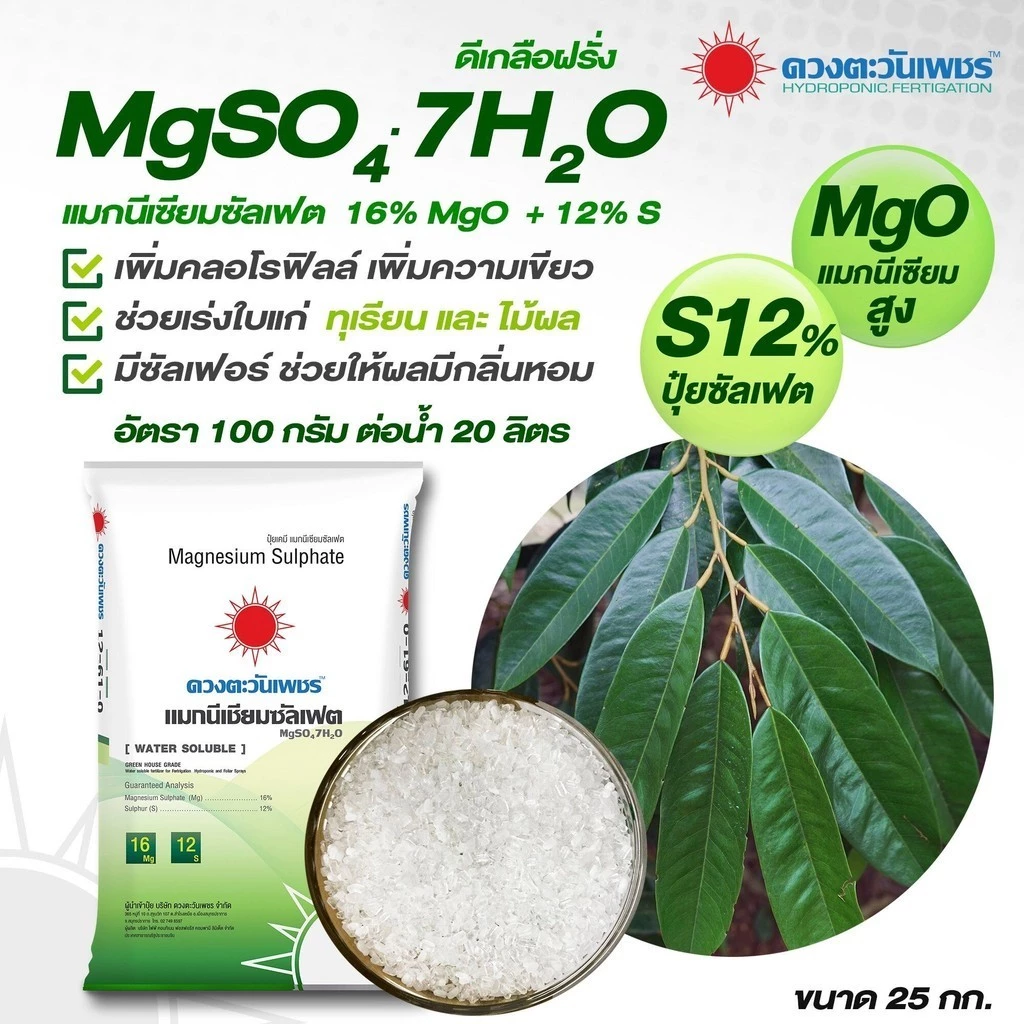 สินค้า 2