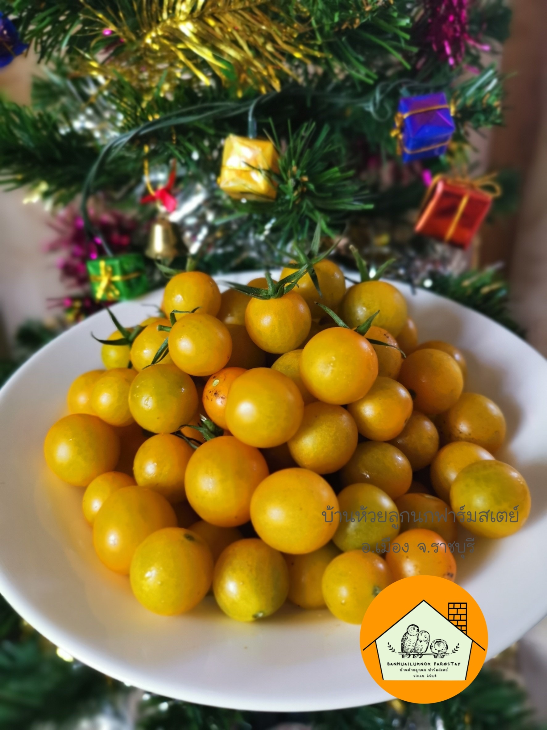 สินค้า 3