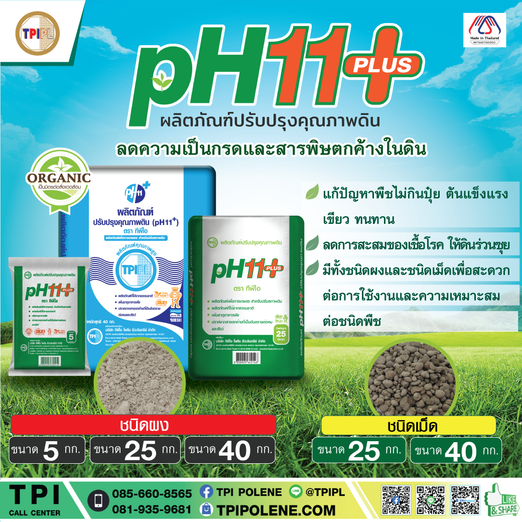 สินค้า 2