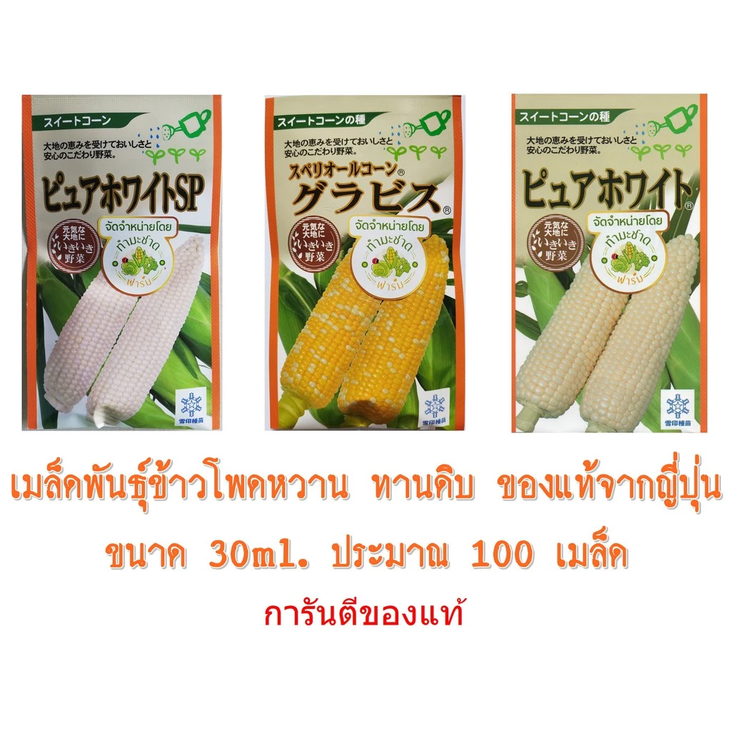 สินค้า 2