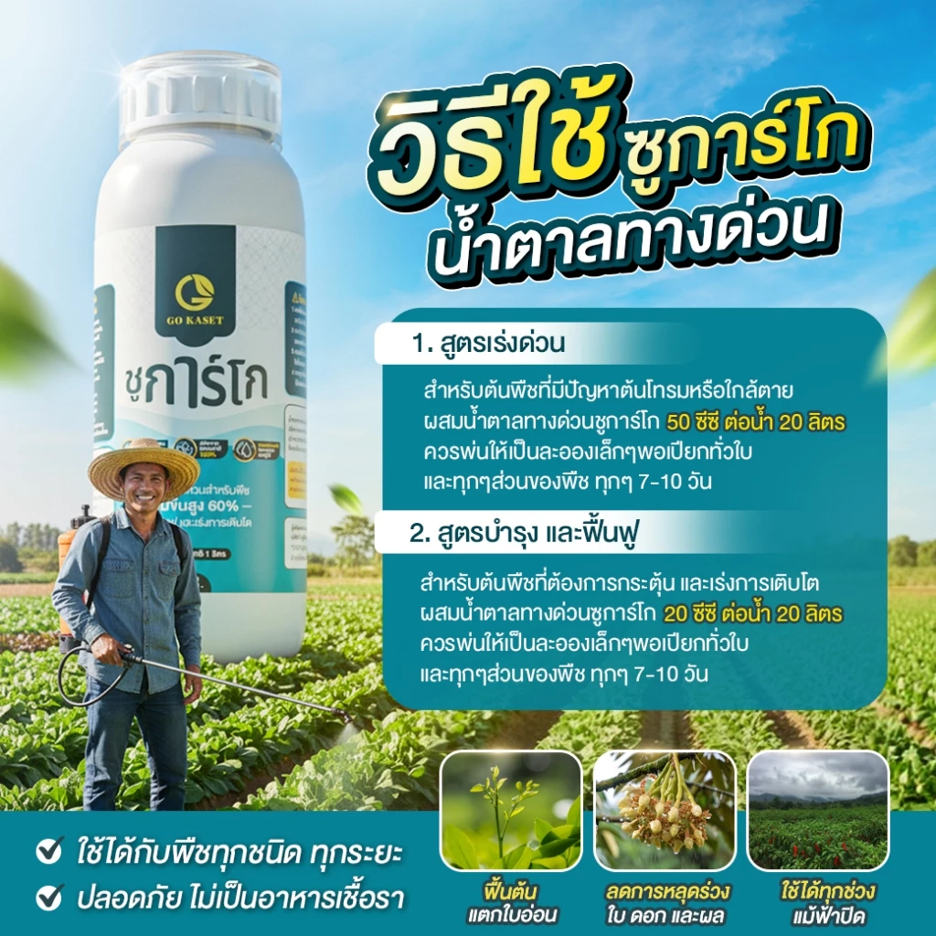 สินค้า 3