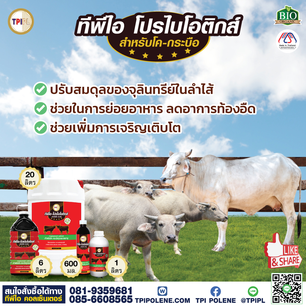 สินค้า 2