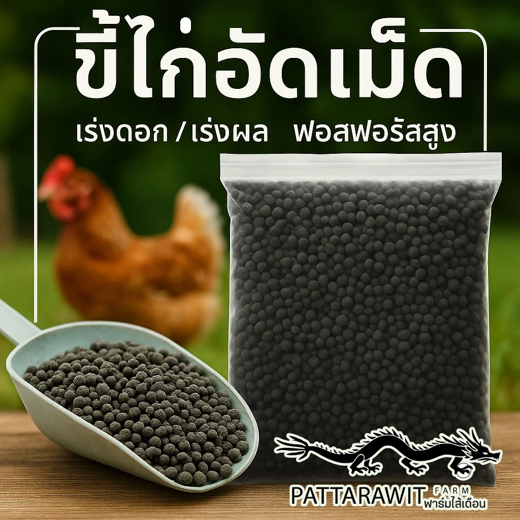 สินค้า 4