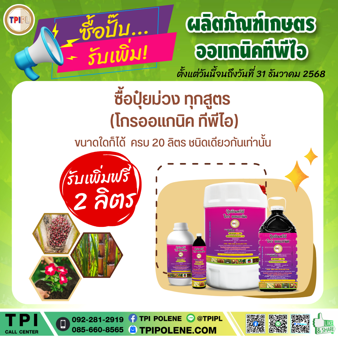 สินค้า 5