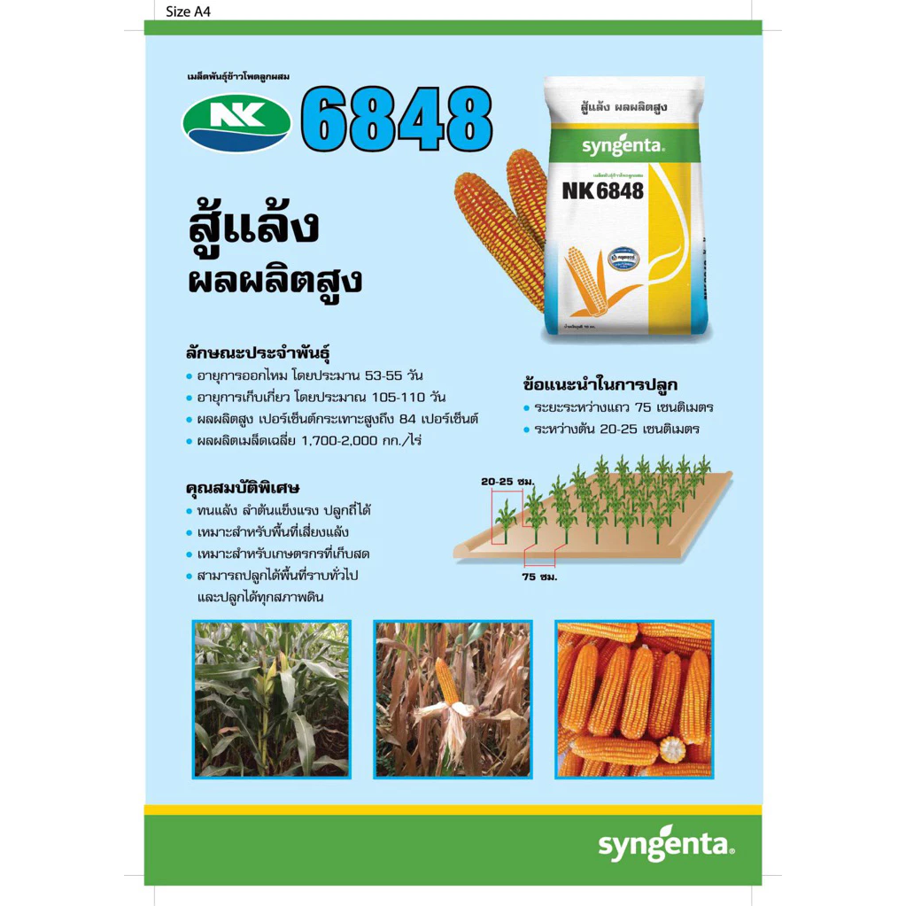 สินค้า 3