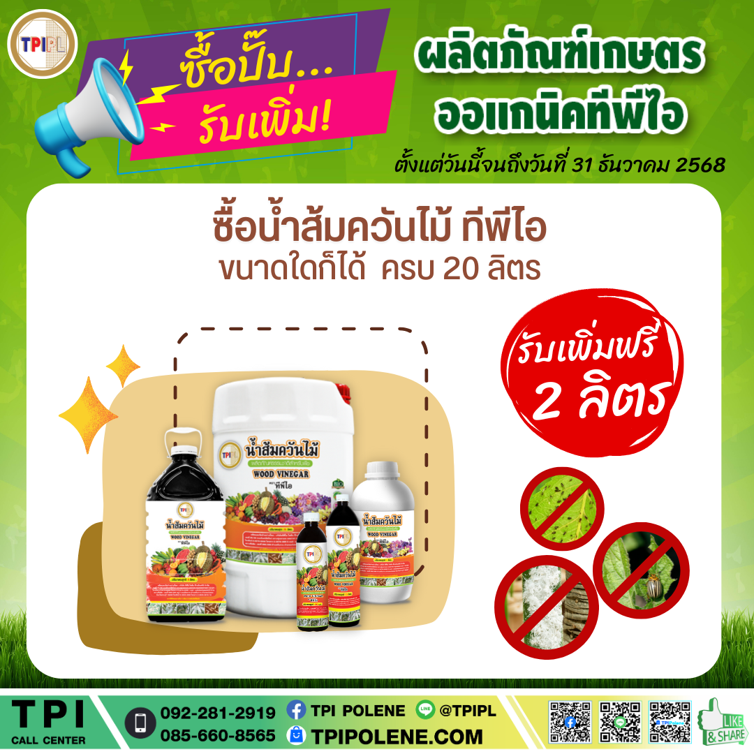 สินค้า 4