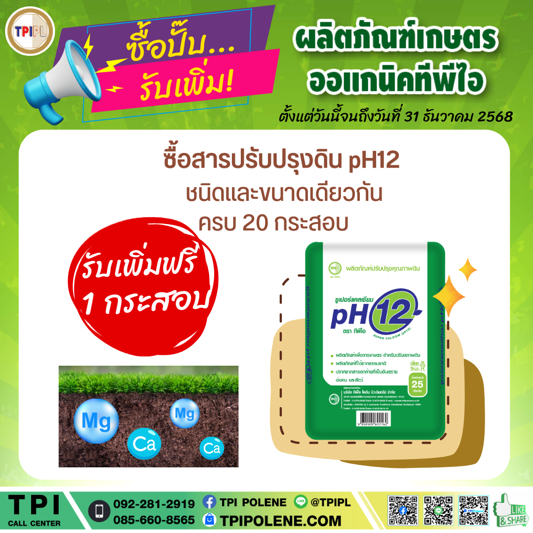 สินค้า 3