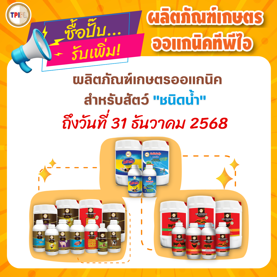 สินค้า 3