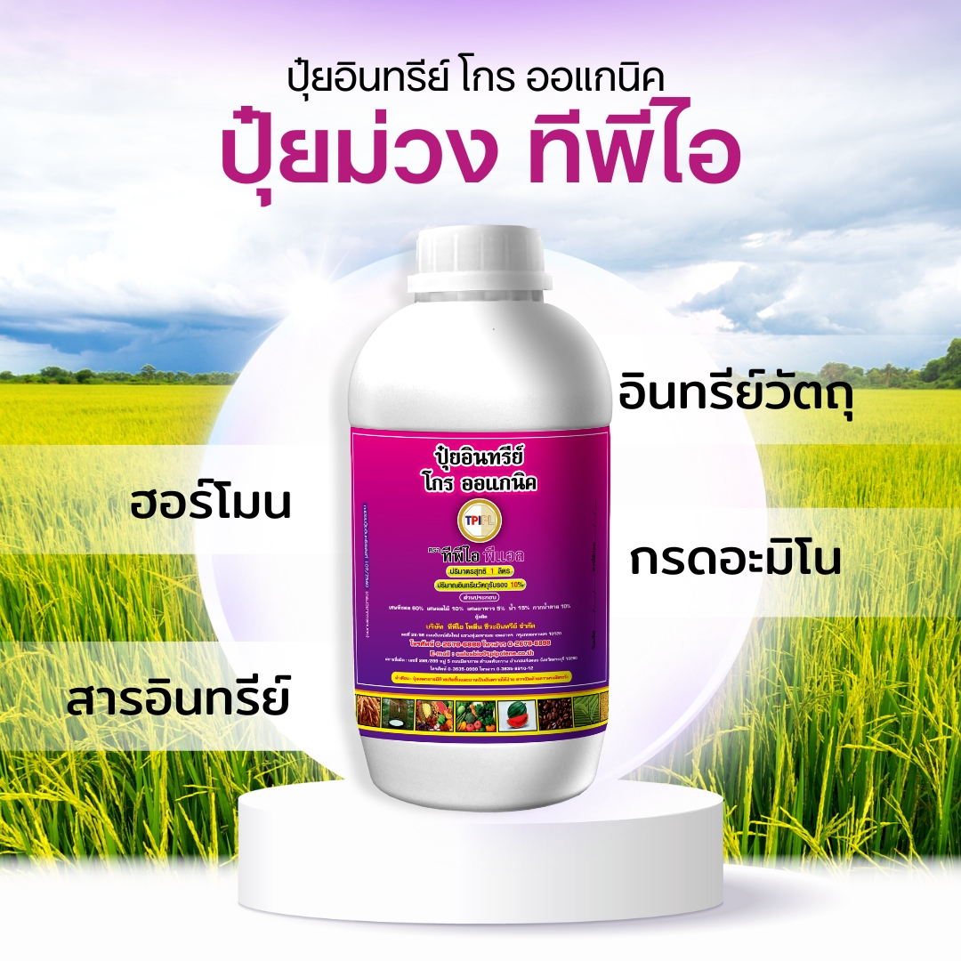 สินค้า 4