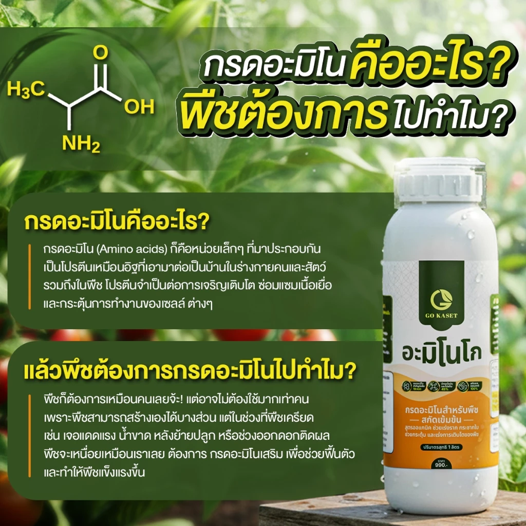สินค้า 4