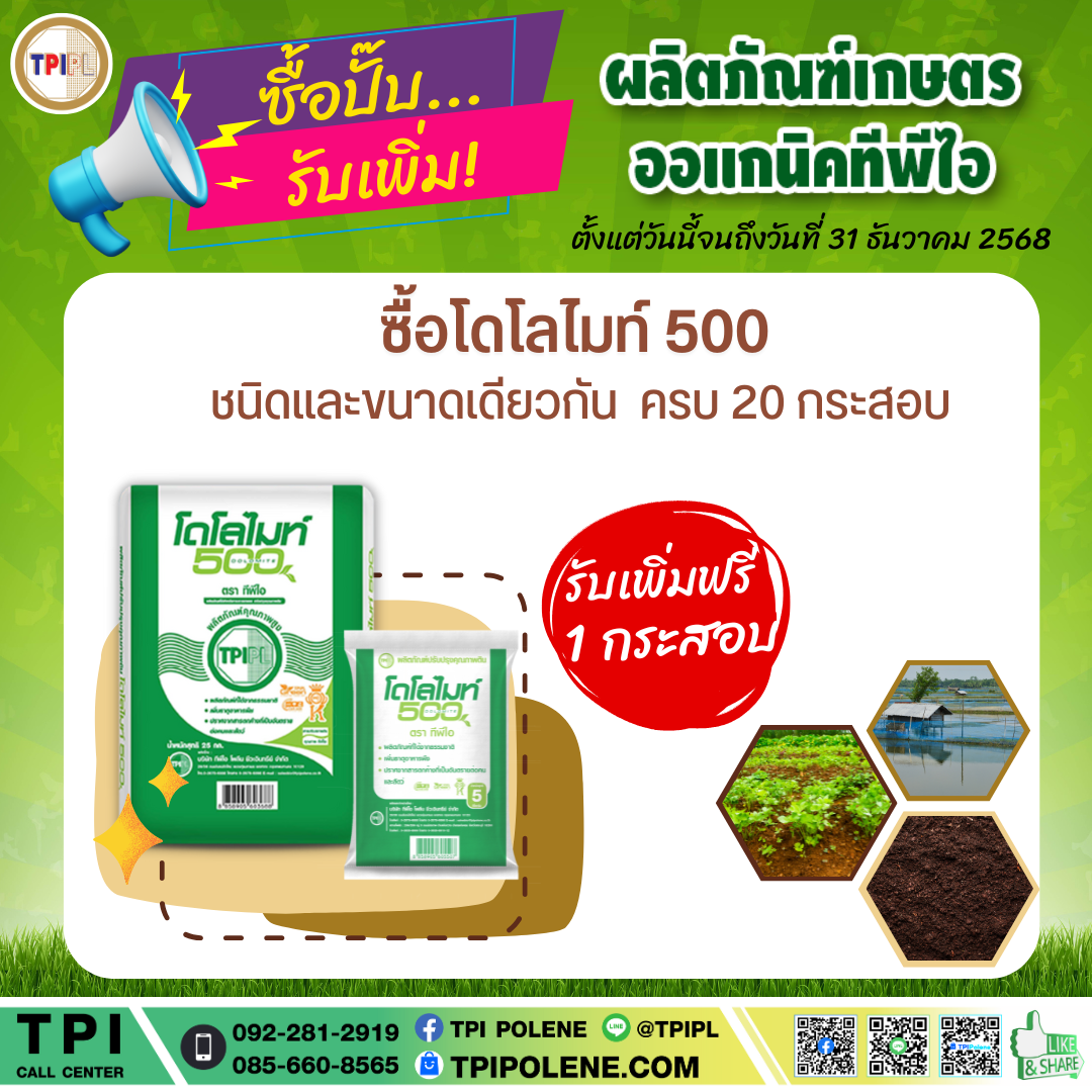 สินค้า 3