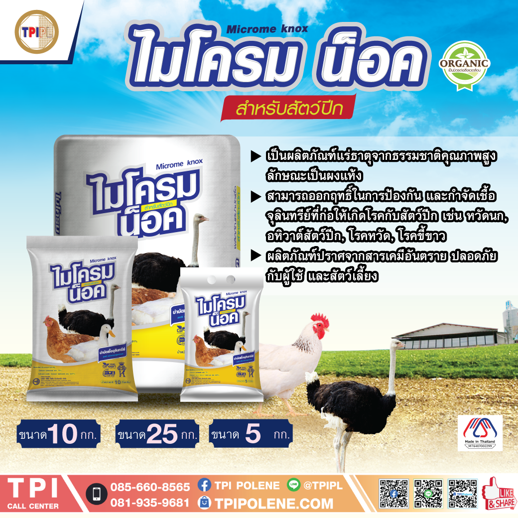 สินค้า 2