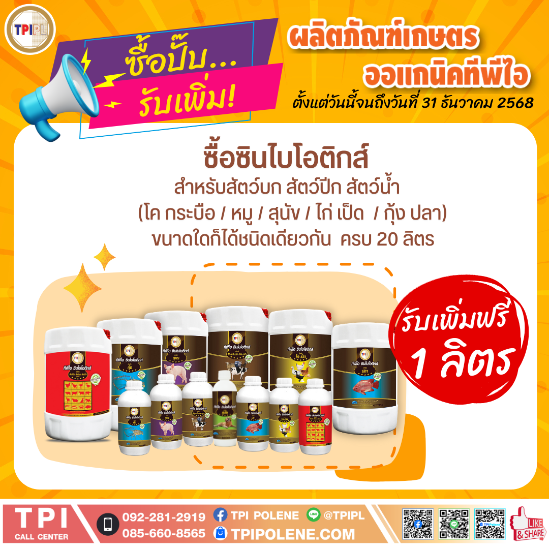 สินค้า 3