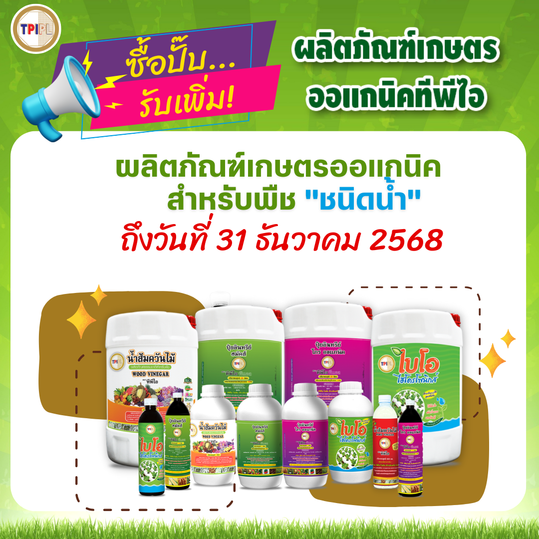 สินค้า 4
